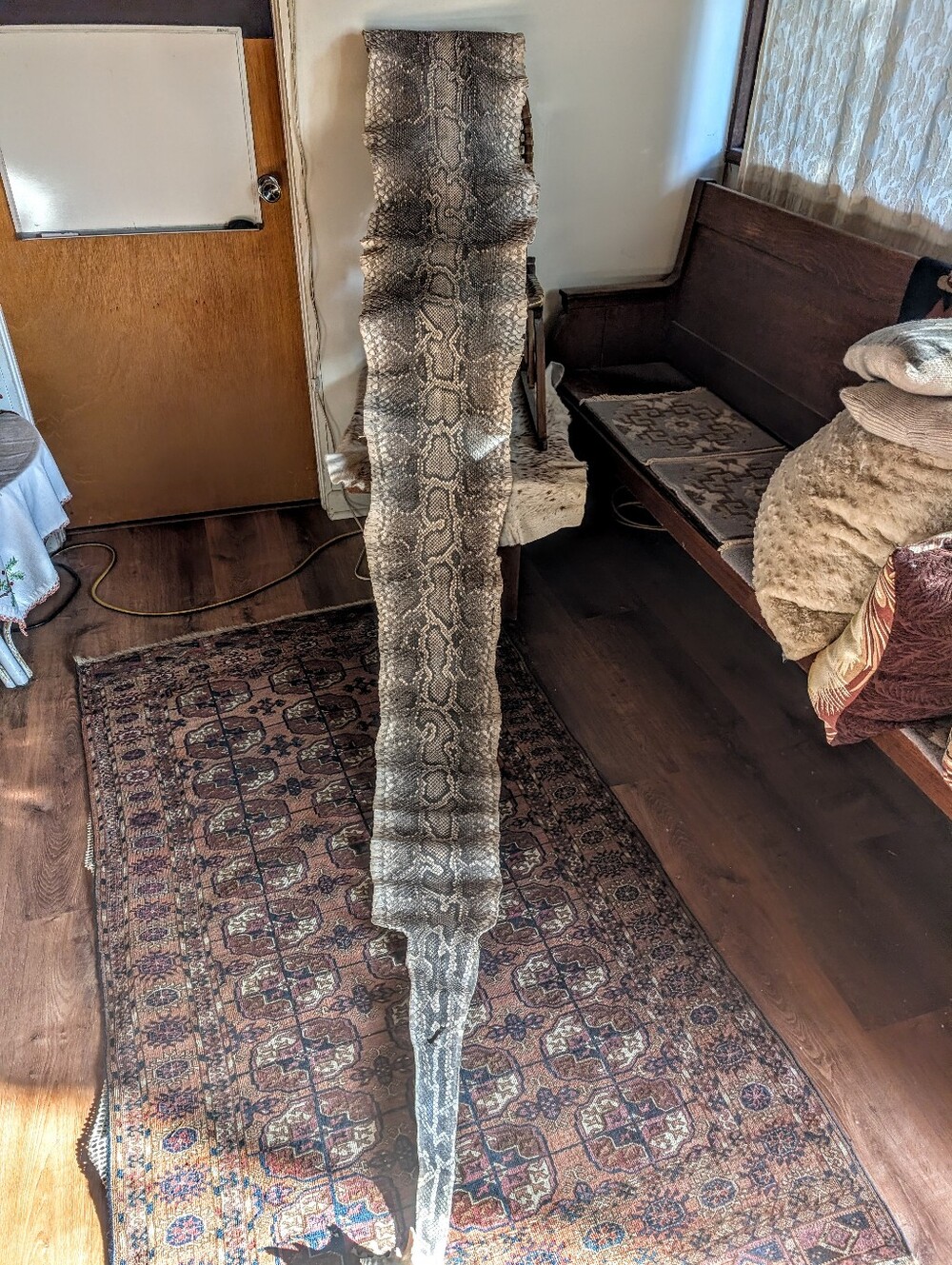 Authentic Reticulated Python Snake pelt 14feet - Picture 2 of 8